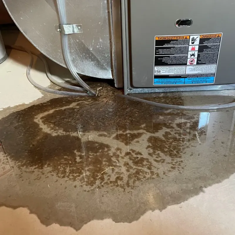 Pipe Burst and Leak Restoration in Bedford Hills, NY